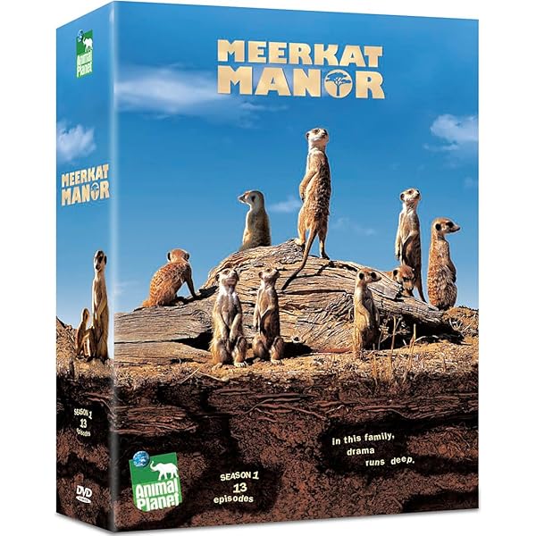 Amazon.com: Best of Meerkat Manor - Season 2 [DVD] : Meerkat